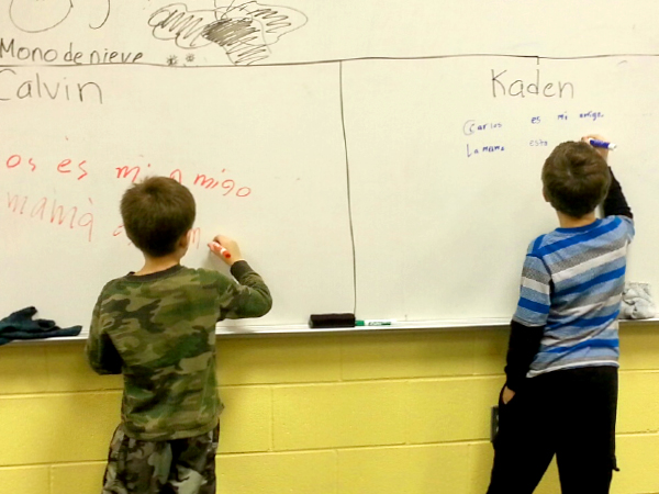 Fliec Language Classes